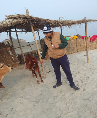 To my mind, the only possible pet is all animals. They will be your friends forever